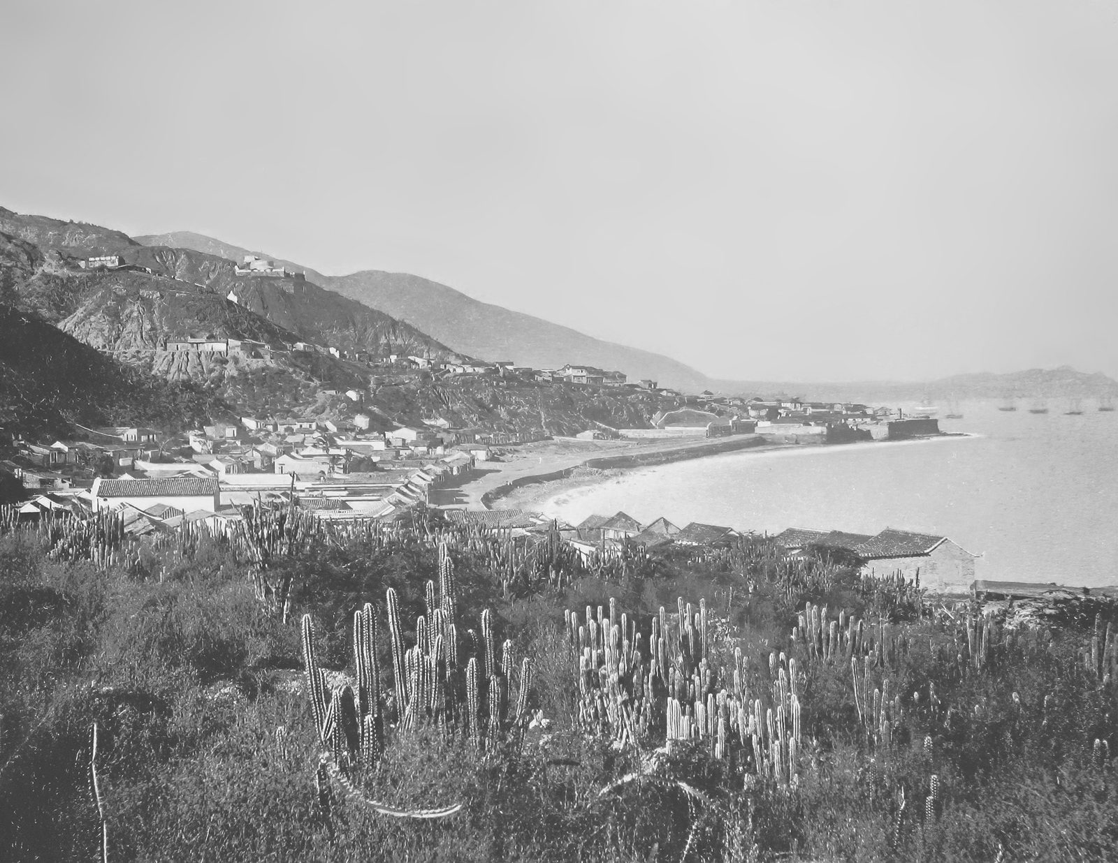 La ciudad y el puerto · fotografía, 1887