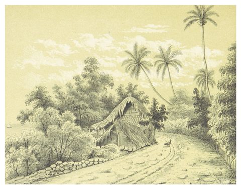 Venezuela, Küstenstraße bei La Guaria.jpg